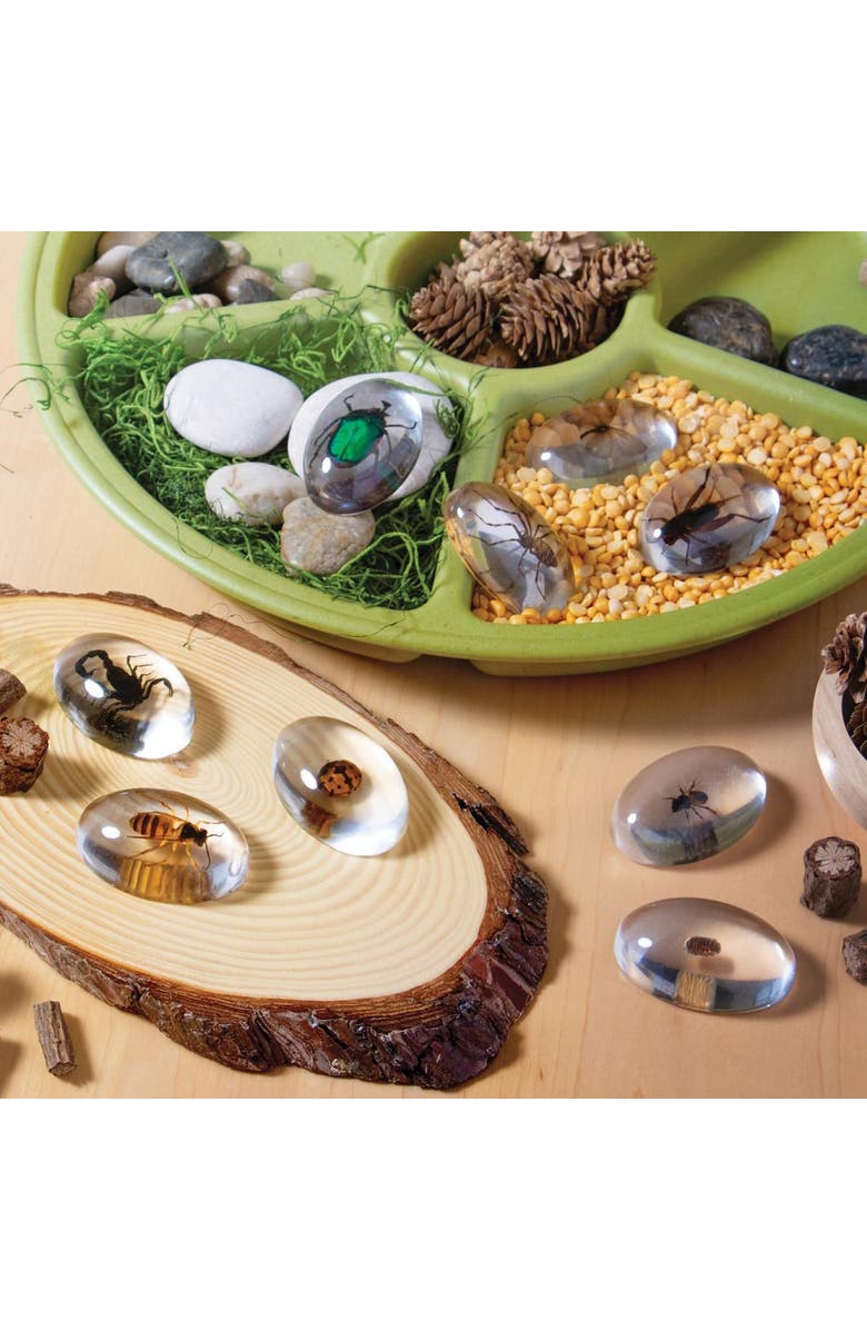 Kaplan Early Learning Company Specimen Stones Bugs - 9 Pieces, Alternate, color, Clear