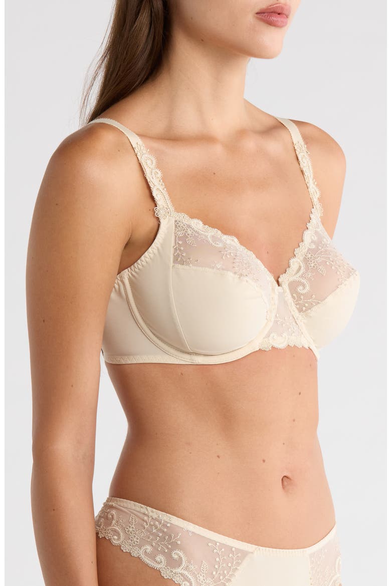 'Delice' Embroidered Underwire Bra, Alternate, color, TOPAZ BEIGE