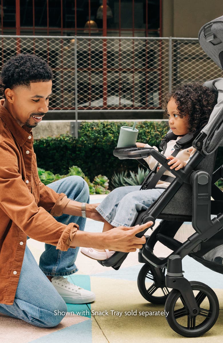 UPPAbaby RumbleSeat V3, Alternate, color, Dillan