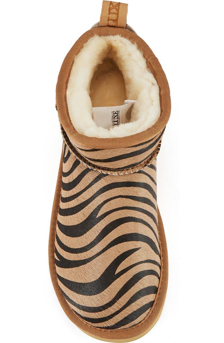 Australia Luxe Collective Cosy Ultra Short Genuine Shearling Bootie, Alternate, color, Zebra