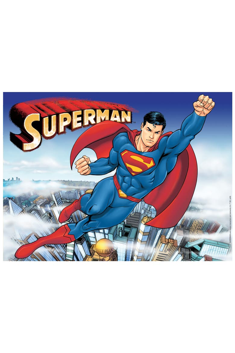 It's a Bird, It's a Plane 100pc Puzzle, Alternate, color, Multicolor