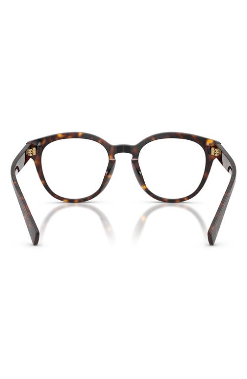 Dolce & Gabbana Dolce&gabbana 52mm Polarized Phantos Optical Glasses In Havana