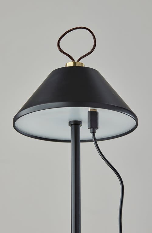 Adesso Lighting Danny Cordless Led Lamp In Black