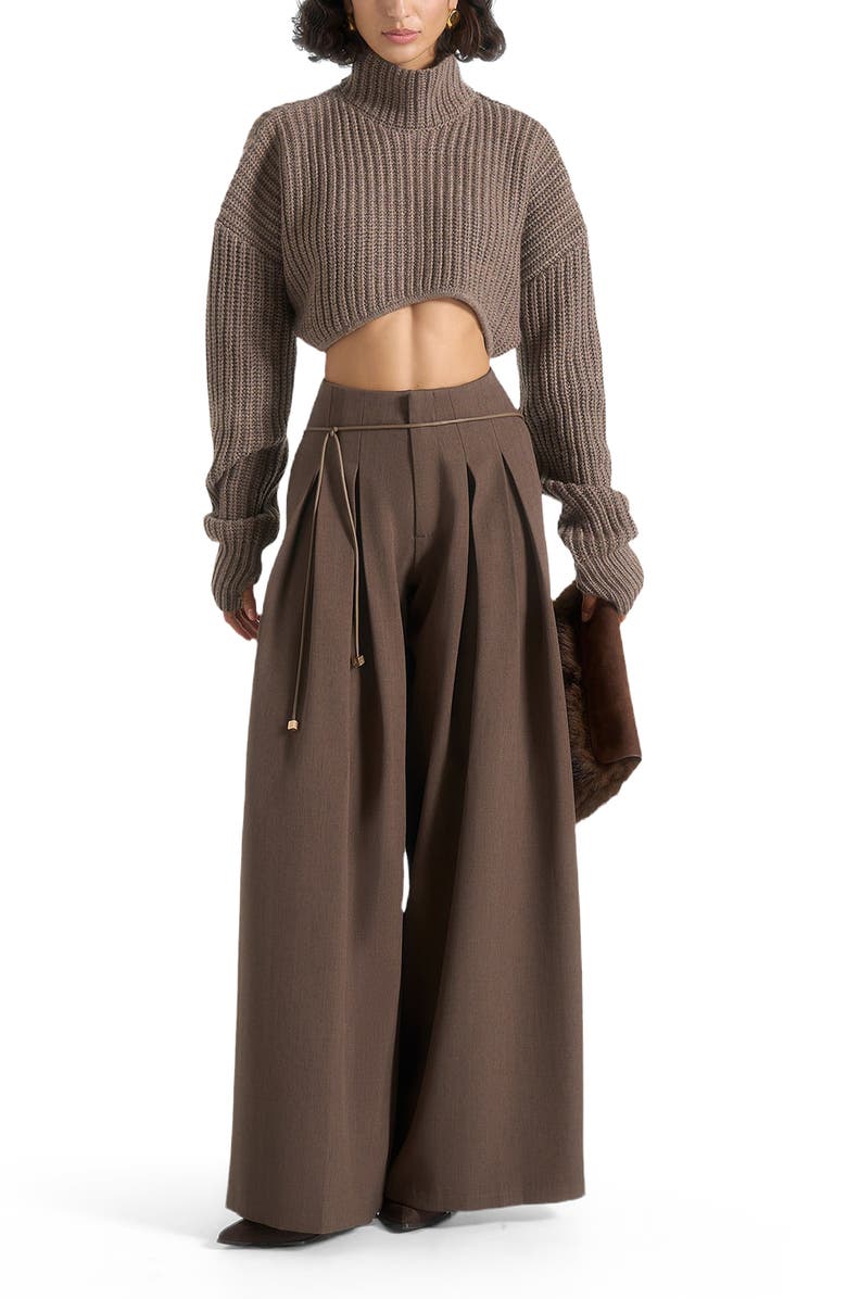 Manière De Voir Flora Box Pleat Wide Leg Belted Trousers, Main, color, Brown