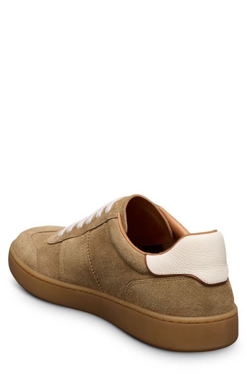 ALLEN EDMONDS ALLEN EDMONDS LUDLOW SLIP-ON SNEAKER 