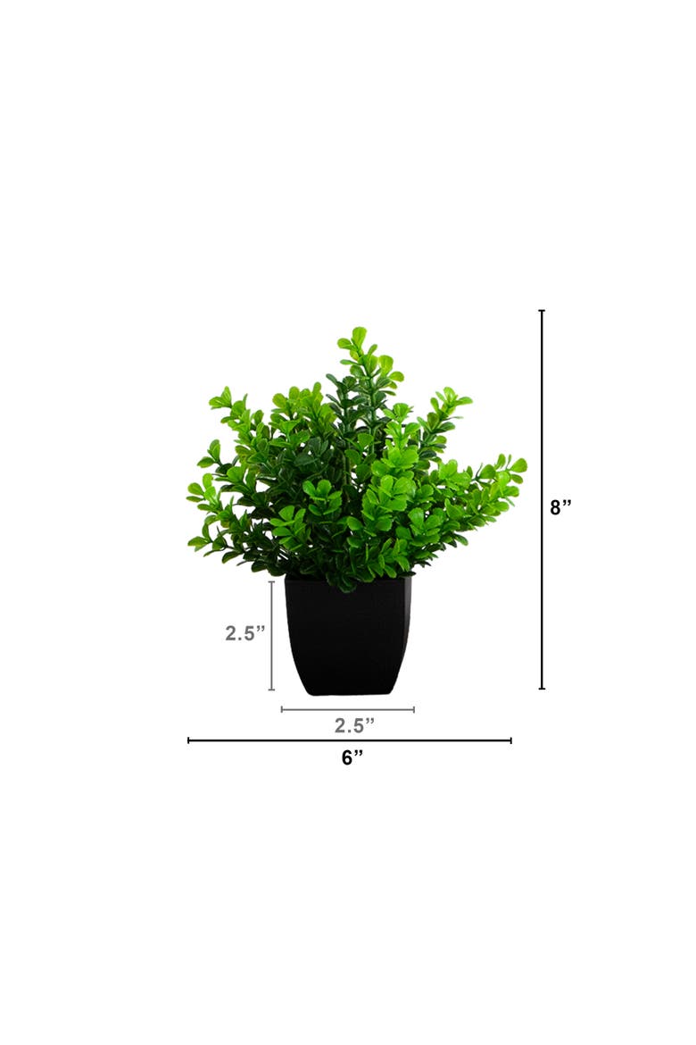8-in Artificial Boxwood Plant in Black Square Pot - Set of 4, Alternate, color, Green