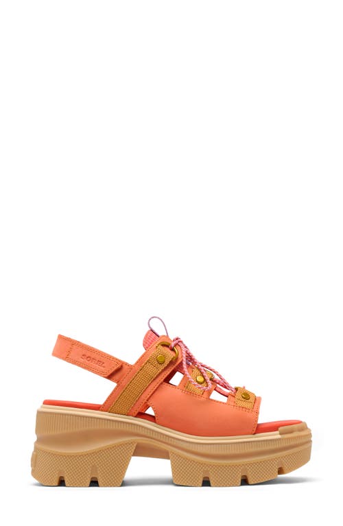 Sorel Rein Cb™ Lace-up Platform Sandal In Tuscan/gum