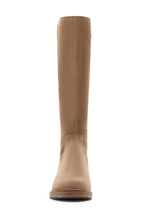 Blondo Ciana Waterproof Knee High Riding Boot In Brown