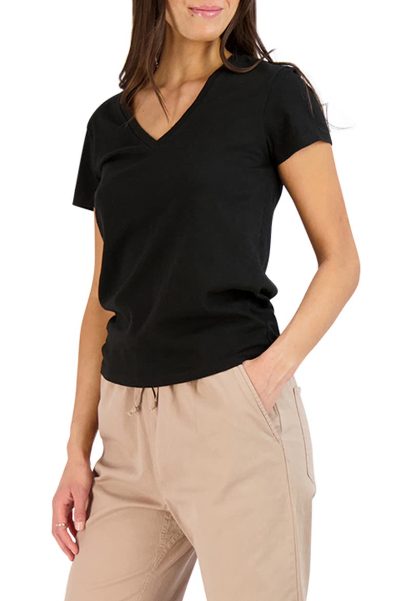 Everyday Classic V-Neck T-Shirt, Alternate, color, BLACK