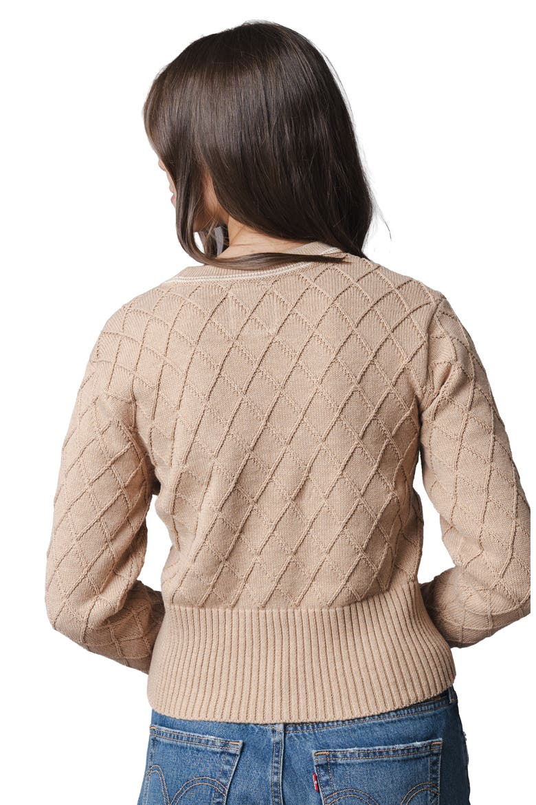 Organic V-Neck Cardigan Sweater, Alternate, color, Camel Heather