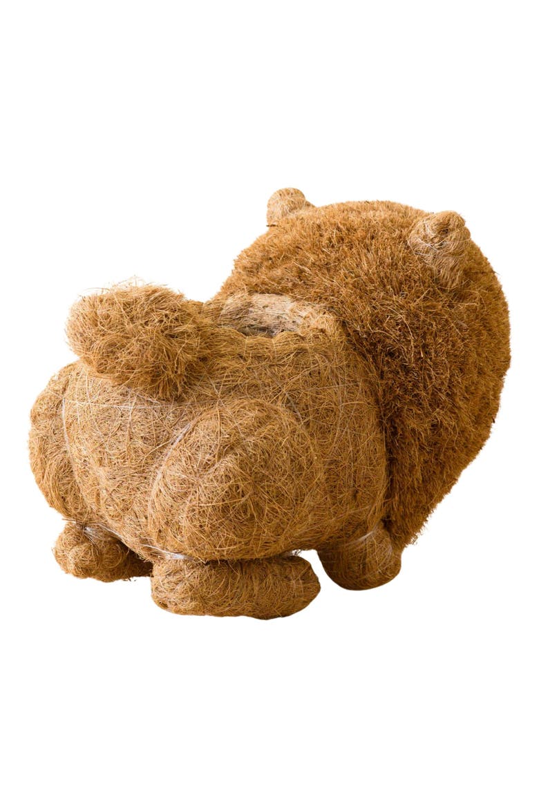 Chow Chow Handwoven Planter, Alternate, color, BROWN