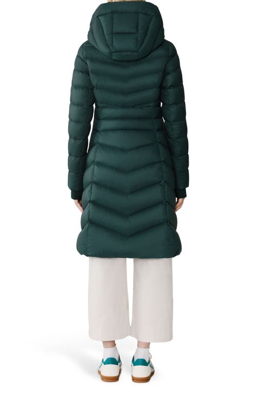 Soia & Kyo Lita Water Repllent 700 Fill Power Down Hooded Puffer Jacket In Green