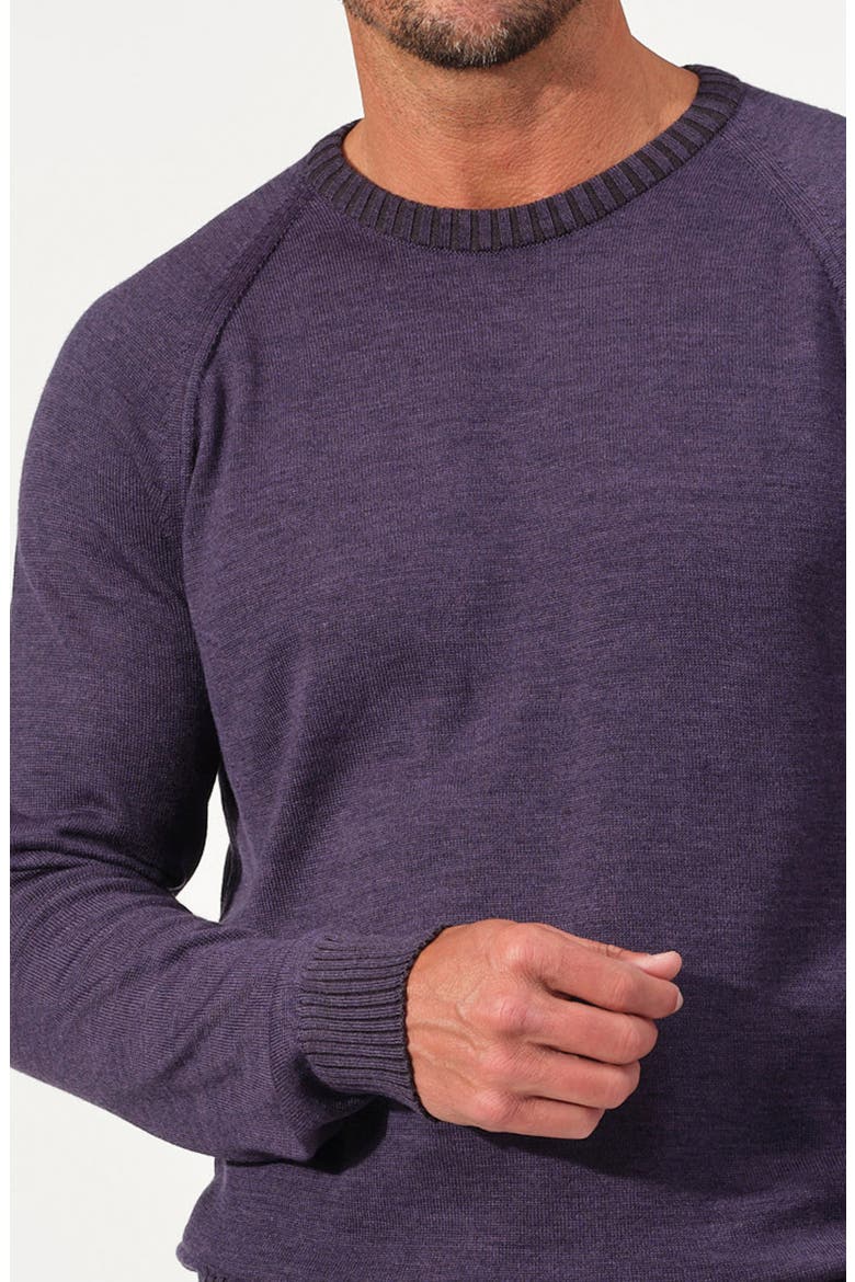 Valmont Merino Wool Knit Sweater, Alternate, color, WINEBERRY