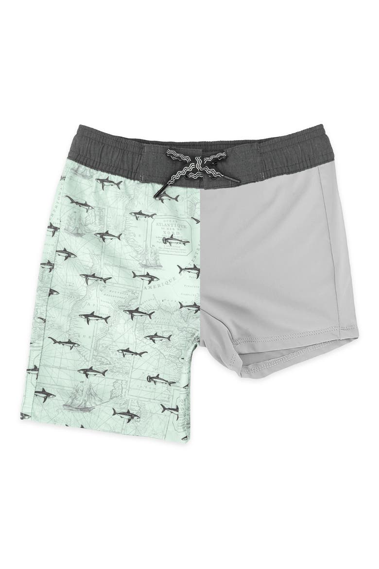Kids' Classic Fish Print Board Shorts, Alternate, color, SALTWATER