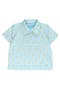  Chirping Chicks Gingham