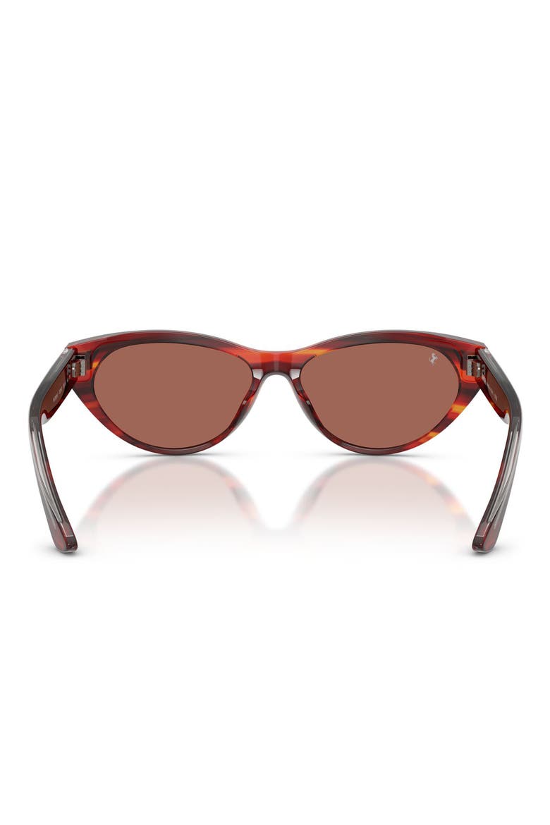 56mm Cat Eye Sunglasses, Alternate, color, STRIPED BROWN / BROWN