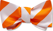 Beau Ties of Vermont Academy Silk Bow Tie