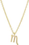 Adornia Zodiac Sign Pendant Necklace