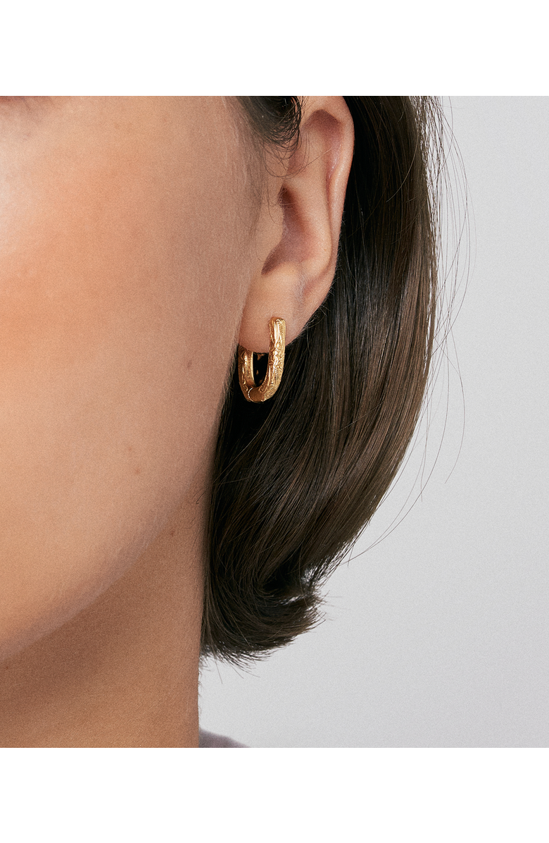 Hey Harper Daphne Amelia Earrings, Alternate, color, Gold