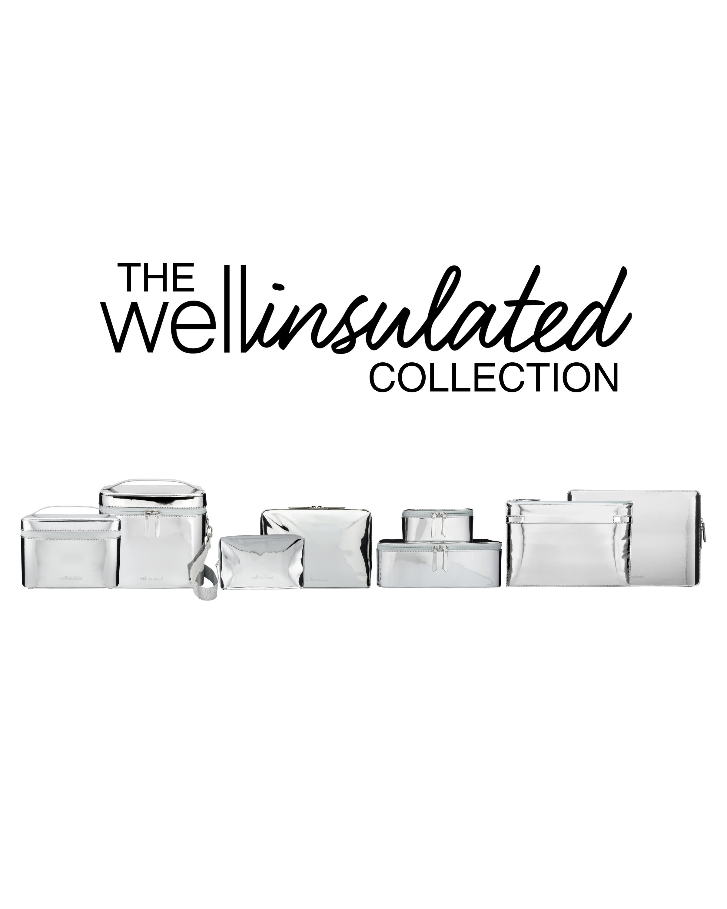 Performance Beauty Case + Strap, Alternate, color, Silver