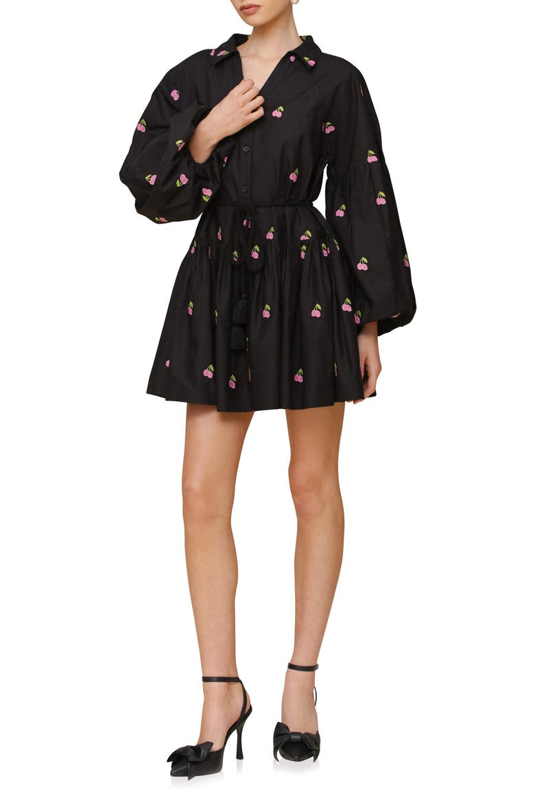 Embroidered Tie Waist Long Sleeve Minidress, Main, color, BLACK