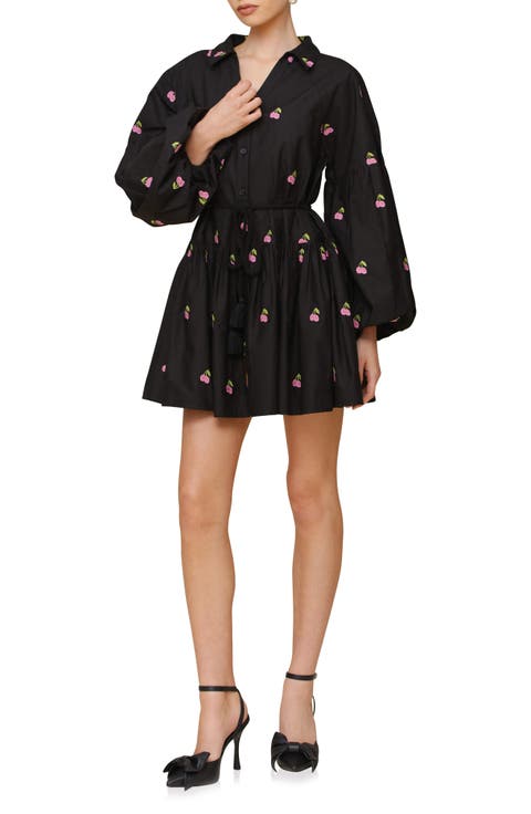 Embroidered Tie Waist Long Sleeve Minidress