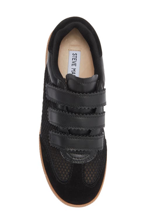 Steve Madden Momentum Sneaker In Black