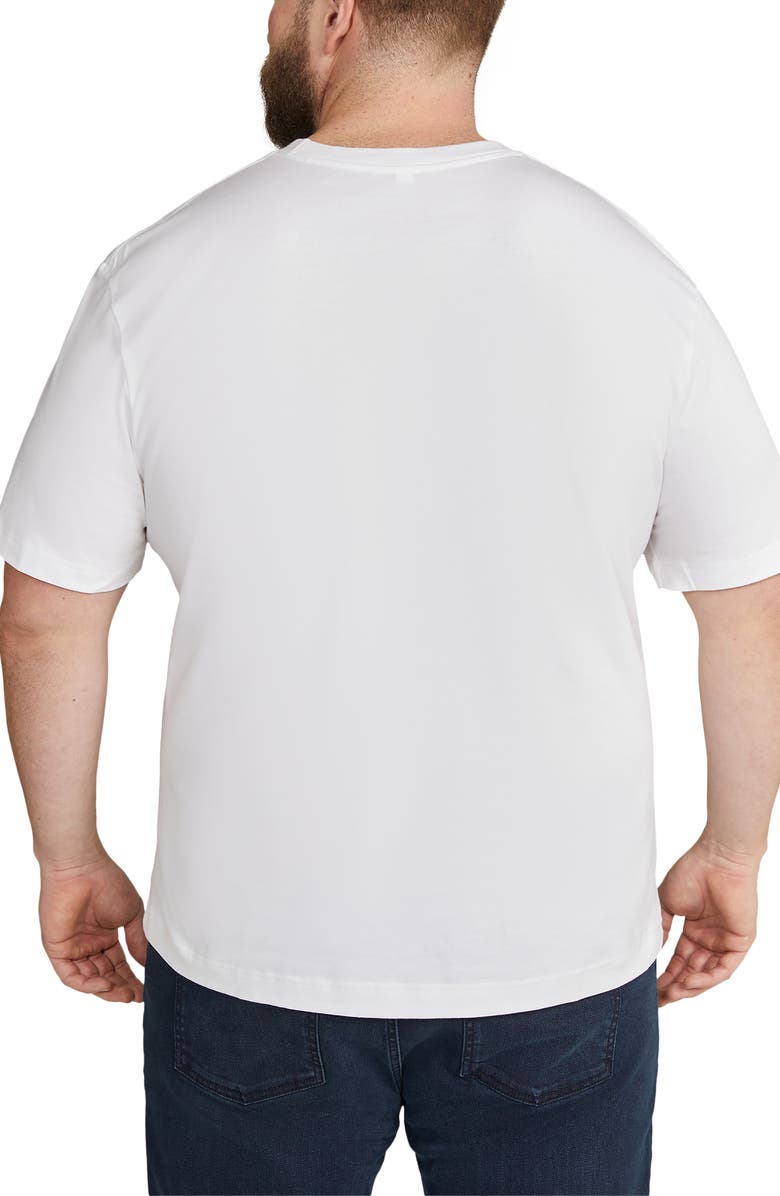 Johnny Bigg Modern Fit Organic Cotton T-Shirt, Alternate, color, 