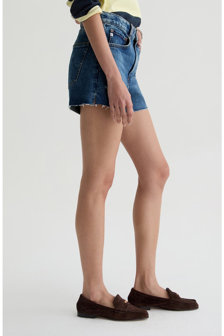Halle High Waist Cutoff Denim Shorts, Alternate, color, 11 YEARS ENRICH