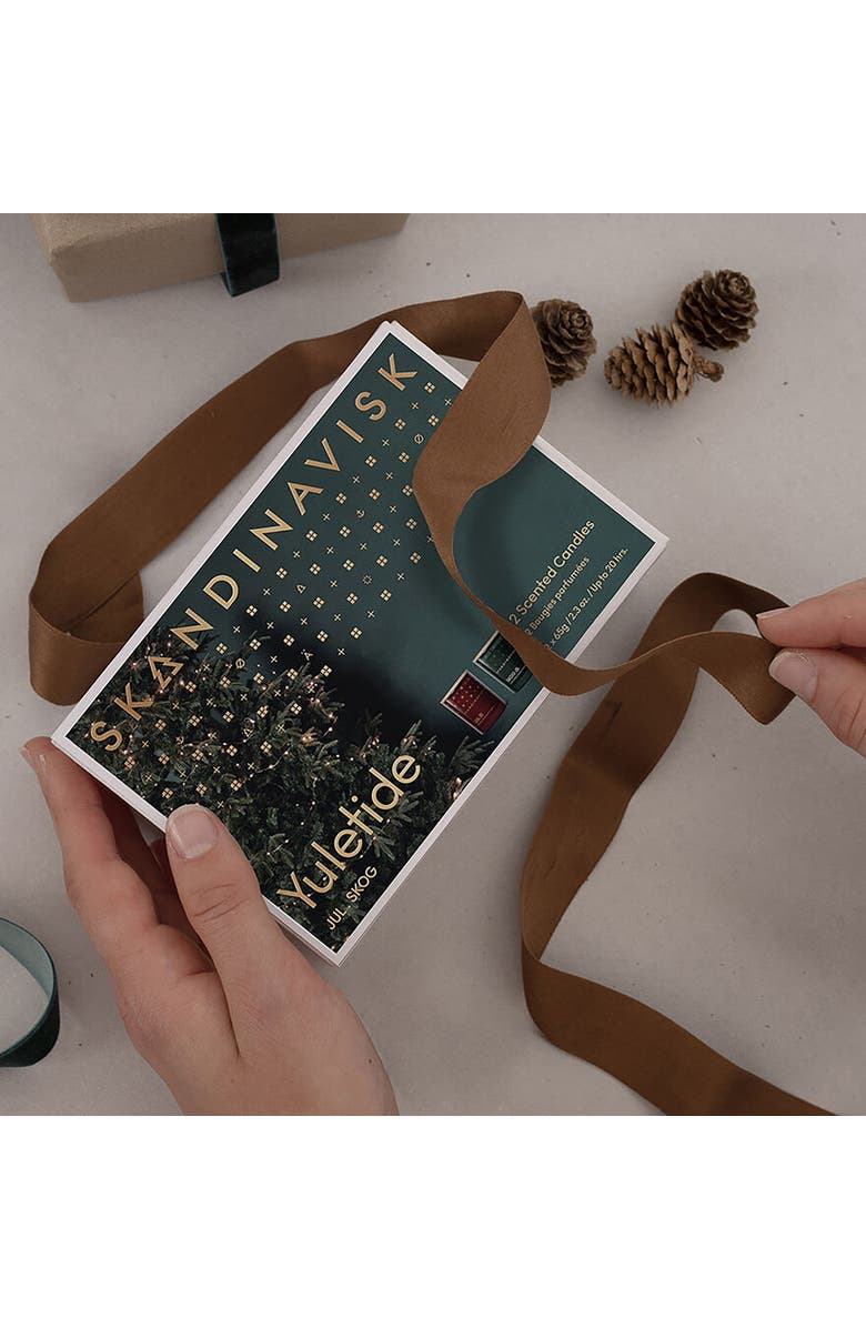 SKANDINAVISK Yuletide Scented Candle Giftset 65g x 2, Alternate, color, Red