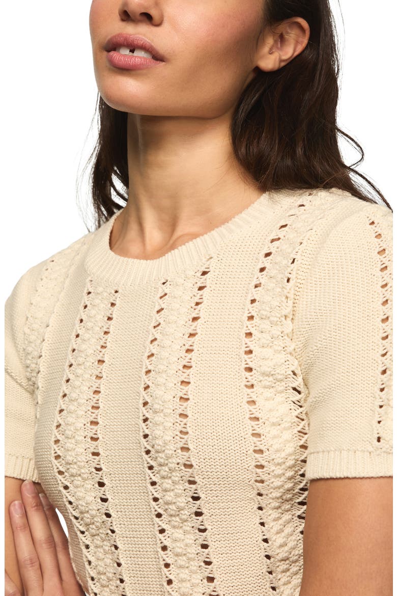 Pointelle Short Sleeve Sweater, Alternate, color, TURTLEDOVE