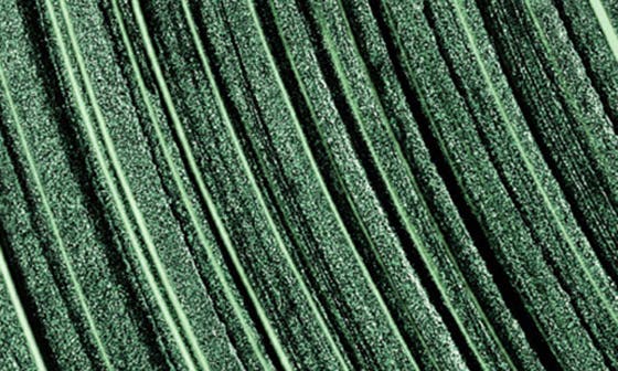 04 NOIR MALACHITE
