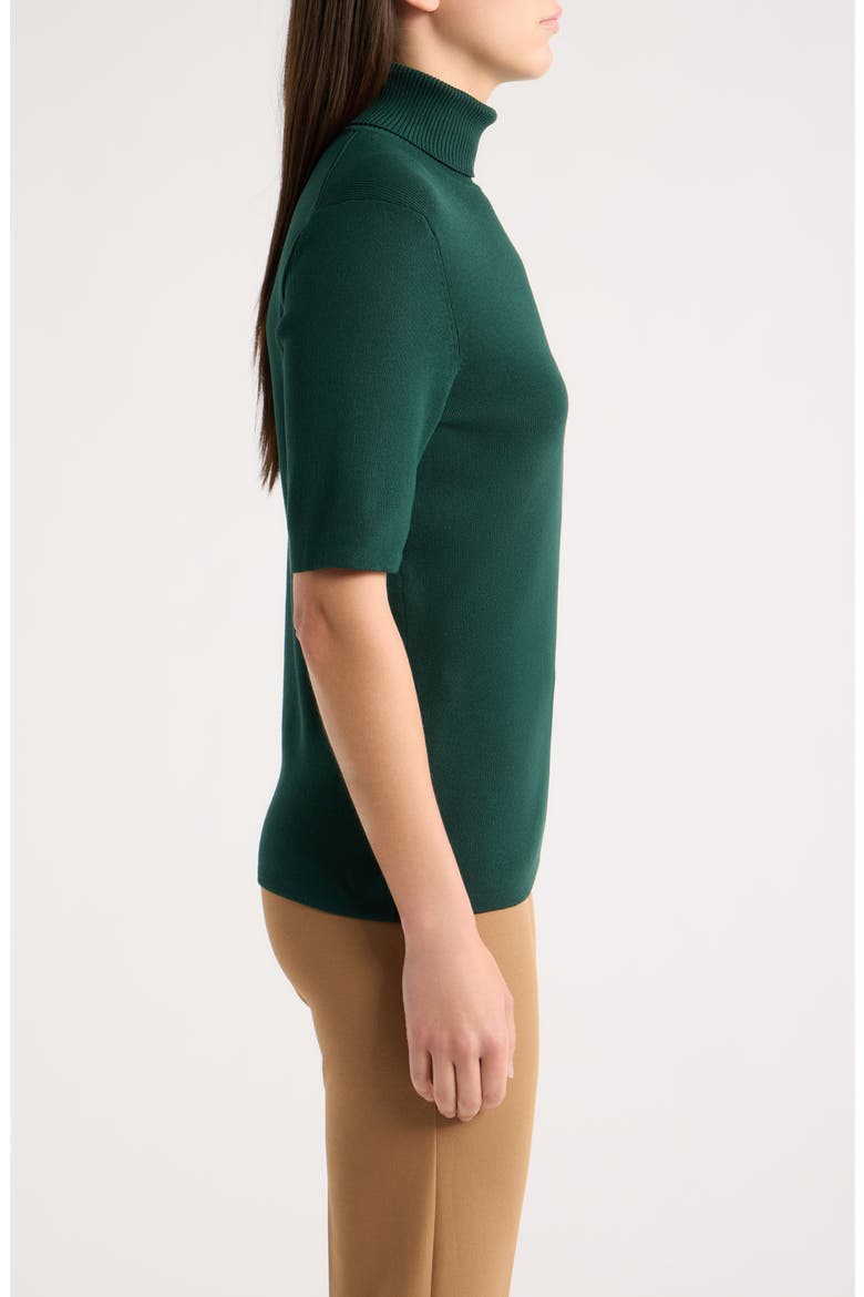 Turtleneck Rib Sweater, Alternate, color, PINE FOREST
