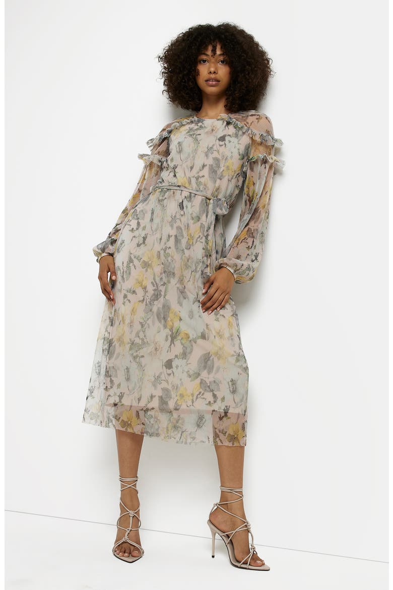 Floral Ruffle Trim Long Sleeve Mesh Plissé Dress, Alternate, color, CREAM