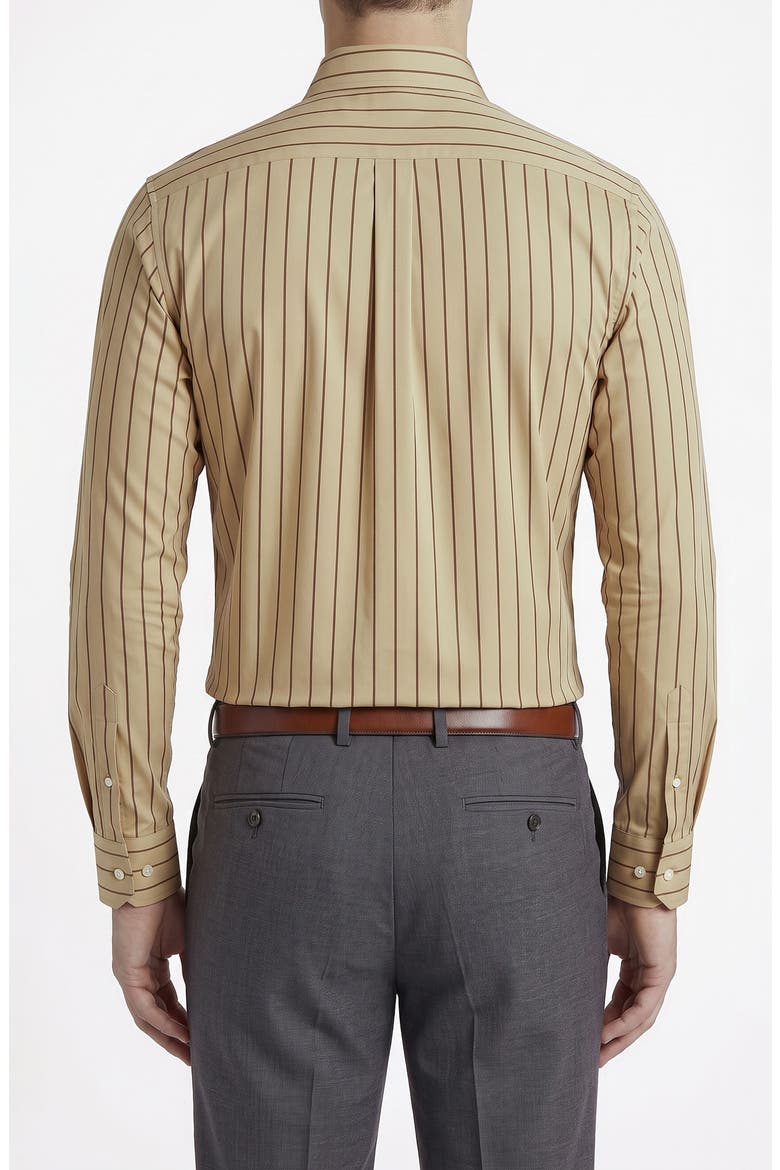 Striped Cotton Dress Shirt, Alternate, color, BEIGE