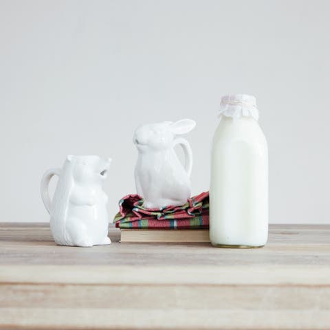 Artisan Dolomite Hedgehog Creamer