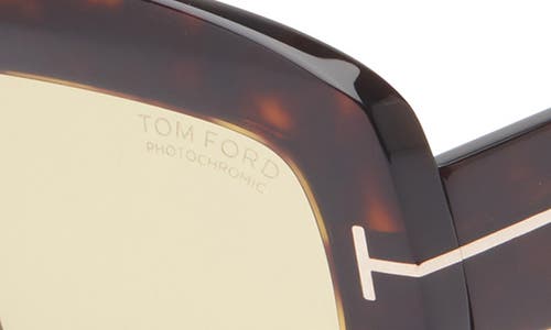 Tom Ford 53mm Square Sunglasses In Brown