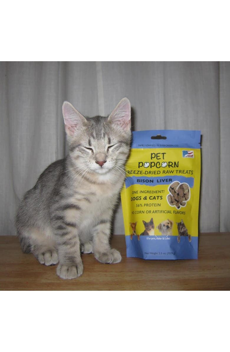 Pet Popcorn Freeze Dried Raw Treats, Bison Liver, 2.5oz Bag, Dog & Cat Snacks, Alternate, color, Multicolored