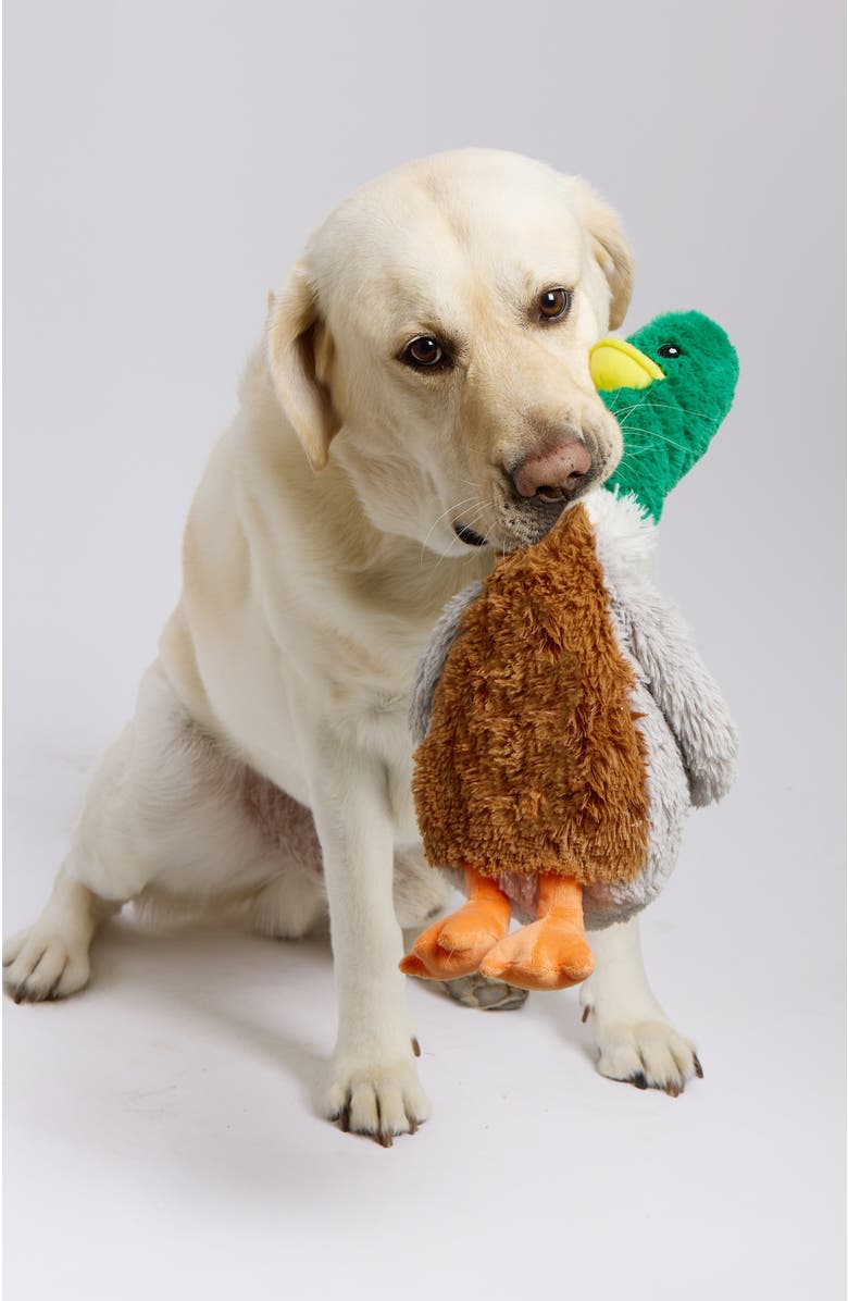 Warmies Mallard Pet Toy Warmies, Alternate, color, Multi Color