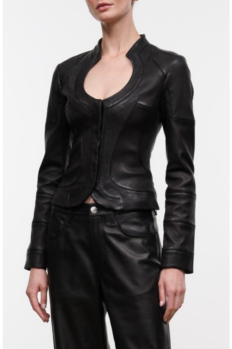 Blair Leather Jacket, Alternate, color, BLACK