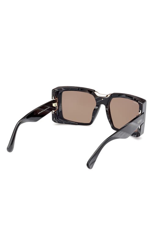 Max Mara Women's Black Horn & Roviex Spark 6 Square Sunglasses In Black Horn/pale Gold/olive