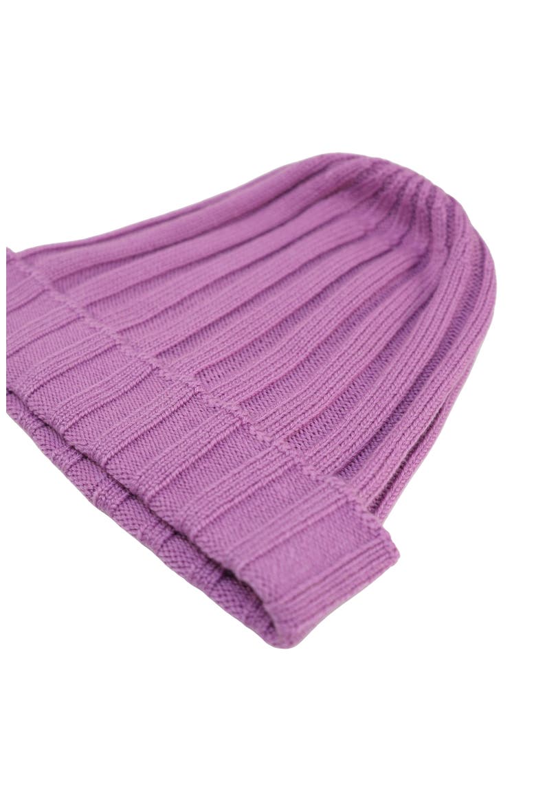 Merino Ribbed Beanie, Alternate, color, PURPLE