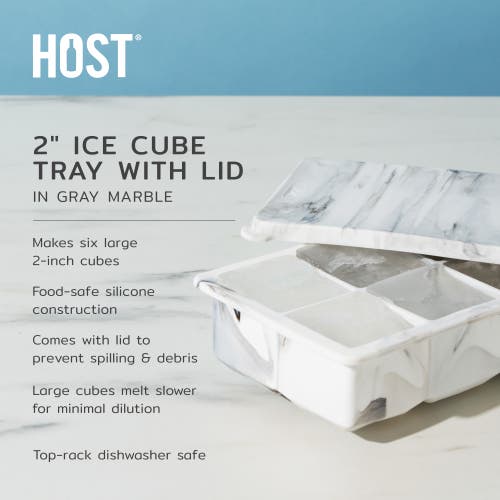 Host 2" Ice Cube Tray With Lid In White