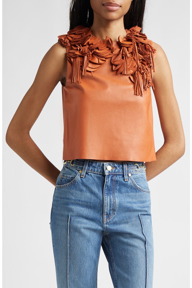 Marlowe Floral Appliqué Top, Main, color, SIENNA