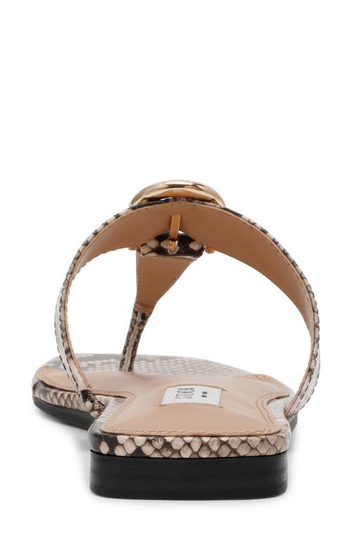 STEVEN NEW YORK STEVEN NEW YORK PAVA SANDAL 