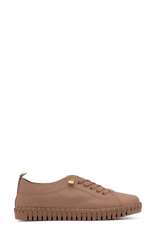 Bottero Bottwister Verao Xxiii Perforated Leather Sneaker