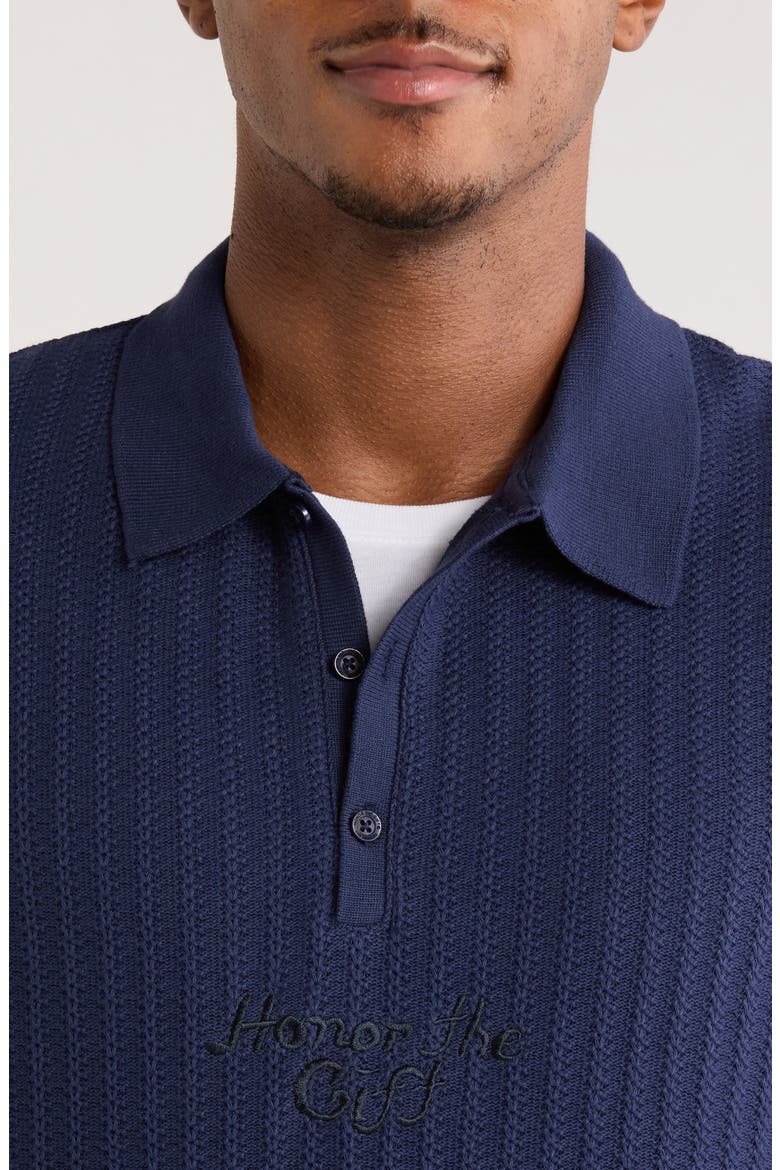 Long Sleeve Polo, Alternate, color, NAVY