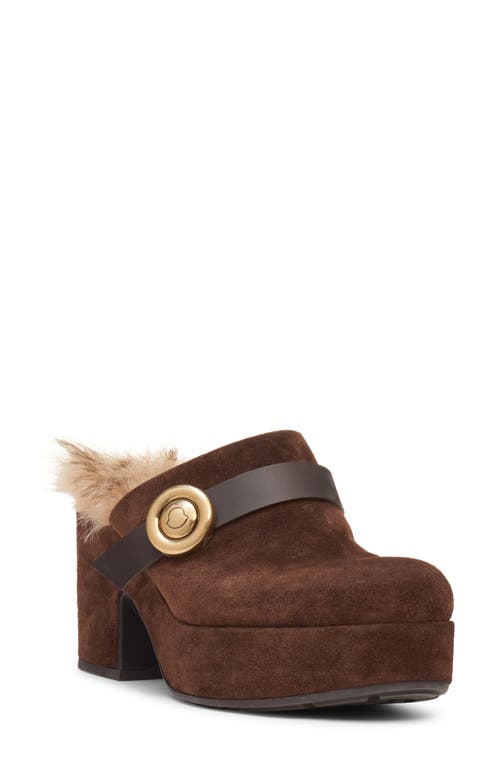 Moncler Xxmm Mule In Brown