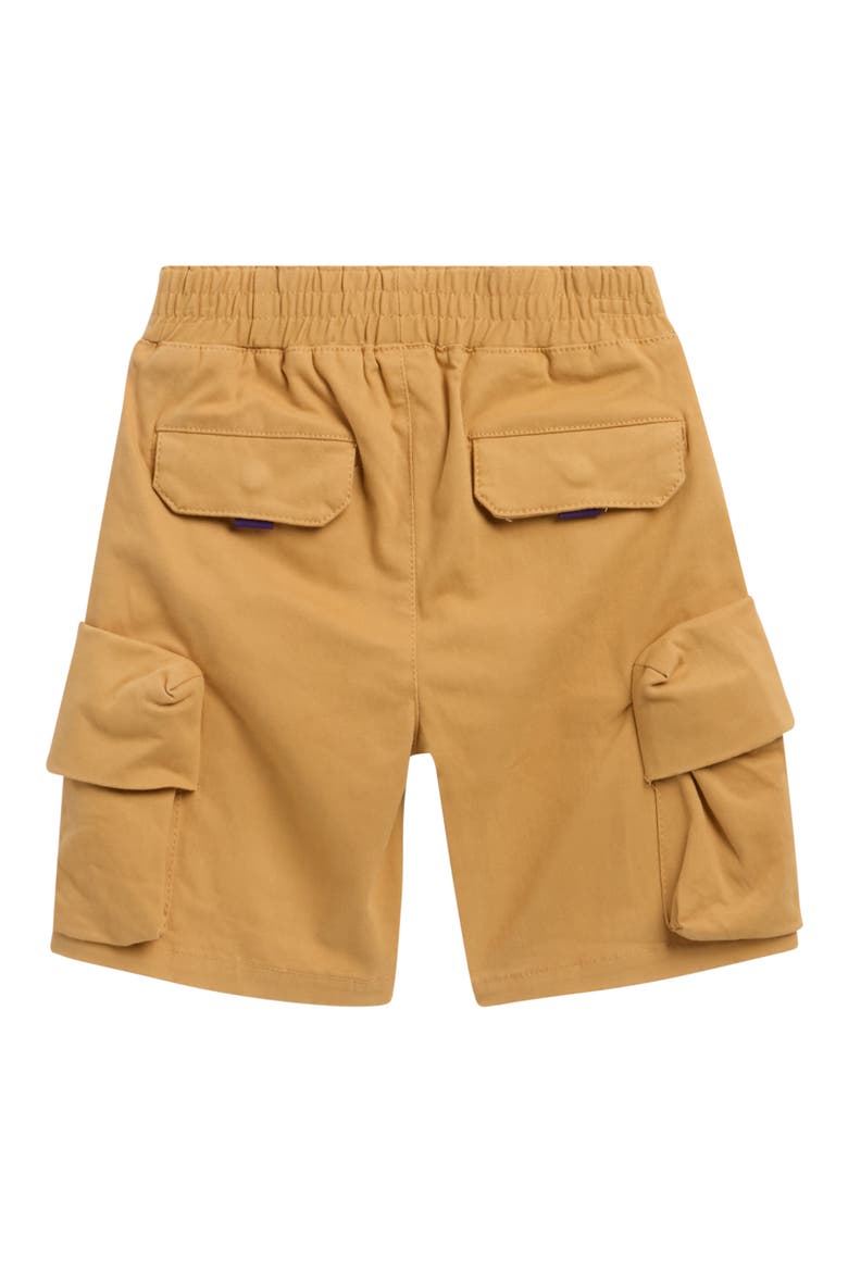 Kids' Prism Shorts, Alternate, color, APPLE CINNAMON