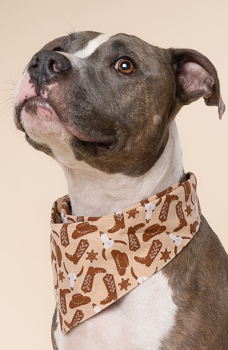 The Paws Bronco Dog Bandana, Alternate, color, Sand